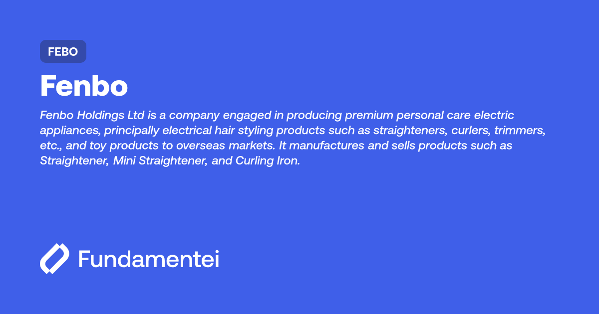 FEBO Fenbo Holdings Fundamentei